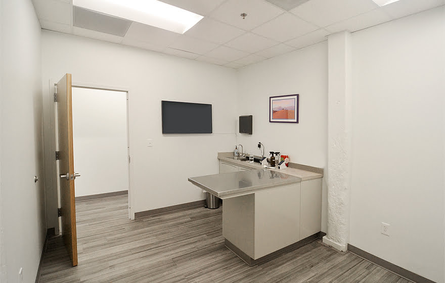 Baltimore Veterinary Clinic Studio 343